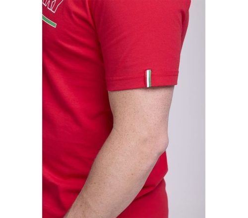 Heavy Tools férfi póló - C3S24035RE